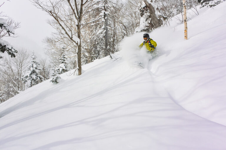 Mountain Network - JAPOW!_10