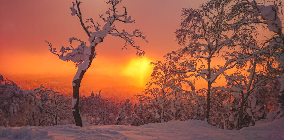 Mountain Network – JAPOW!_8