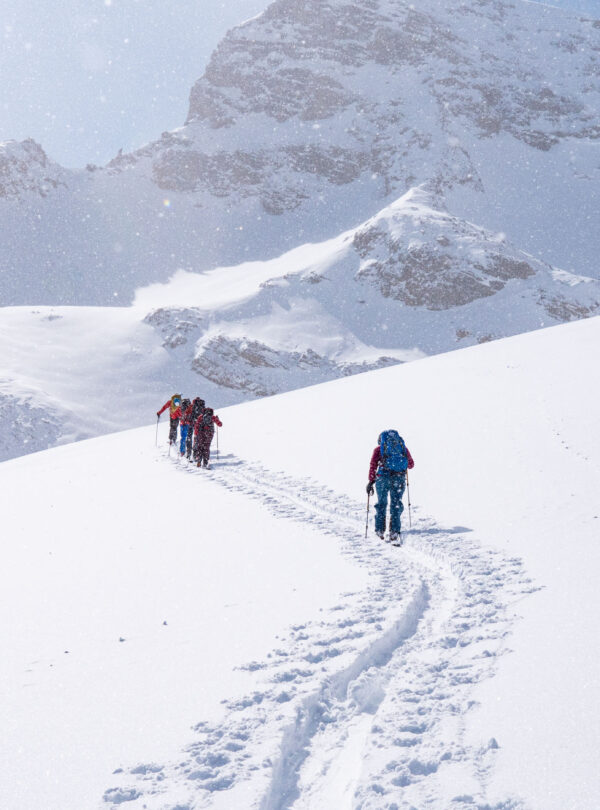 Mountain Network – toerskiën Silvretta42