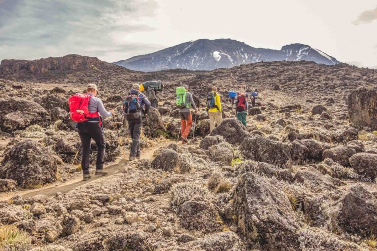 Mountain Network - Kilimanjaro-14