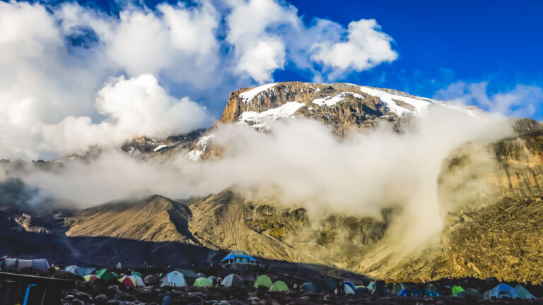 Mountain Network - Kilimanjaro-20