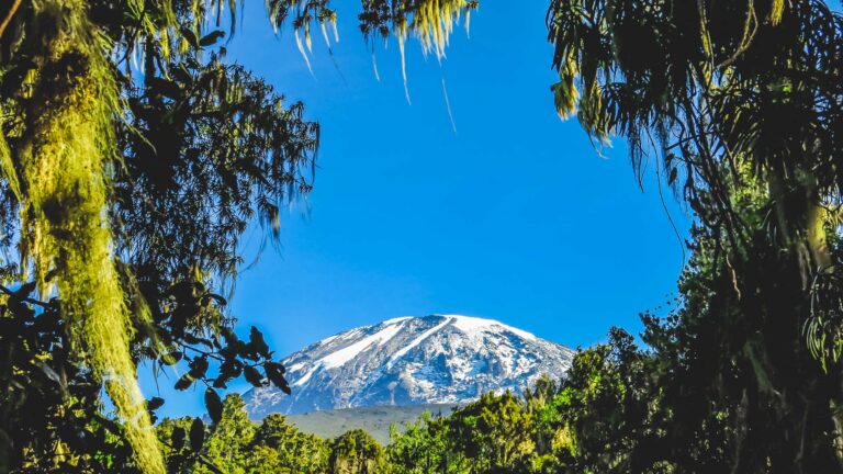 Mountain Network - Kilimanjaro-22