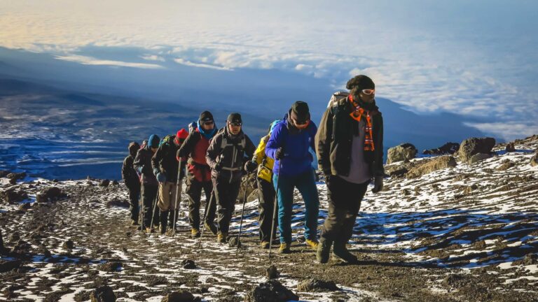 Mountain Network - Kilimanjaro-25