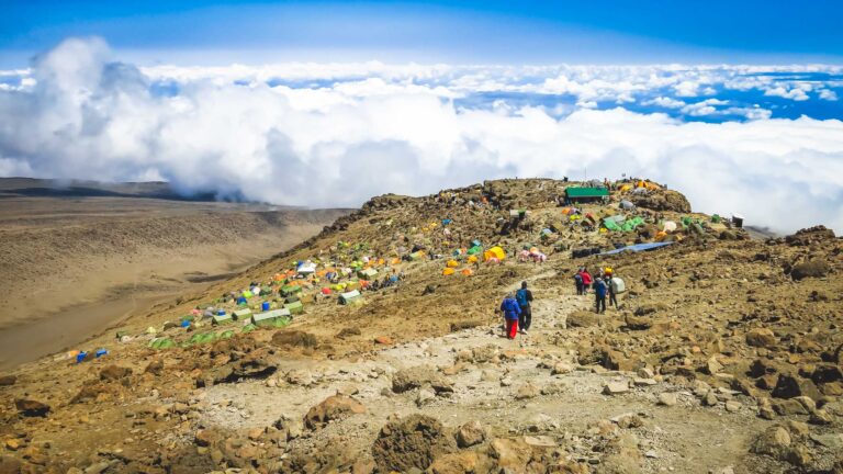 Mountain Network - Kilimanjaro-30