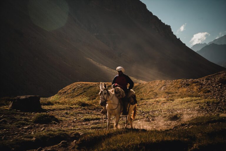 Mountain Network - Aconcagua-20