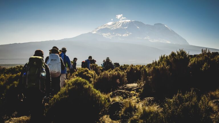 Mountain-Network-Kilimanjaro-46-1