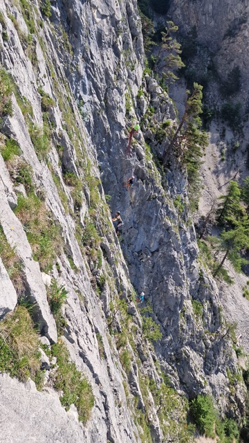 Mountain Medicine Lente Cursus1