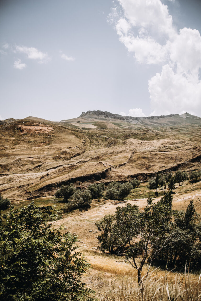 Ararat 2025 Mountain Beat_50