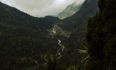 Rwenzori trekking (Margherita Peak)