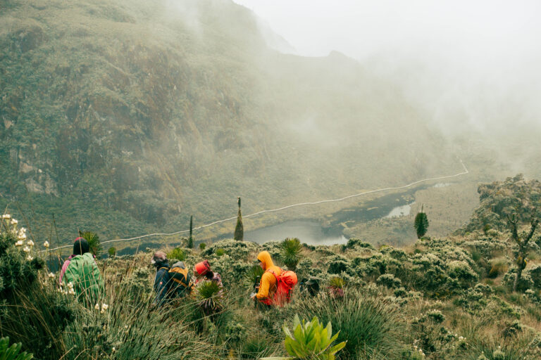 Margherita Peak - Rwenzori - Mountain Beat