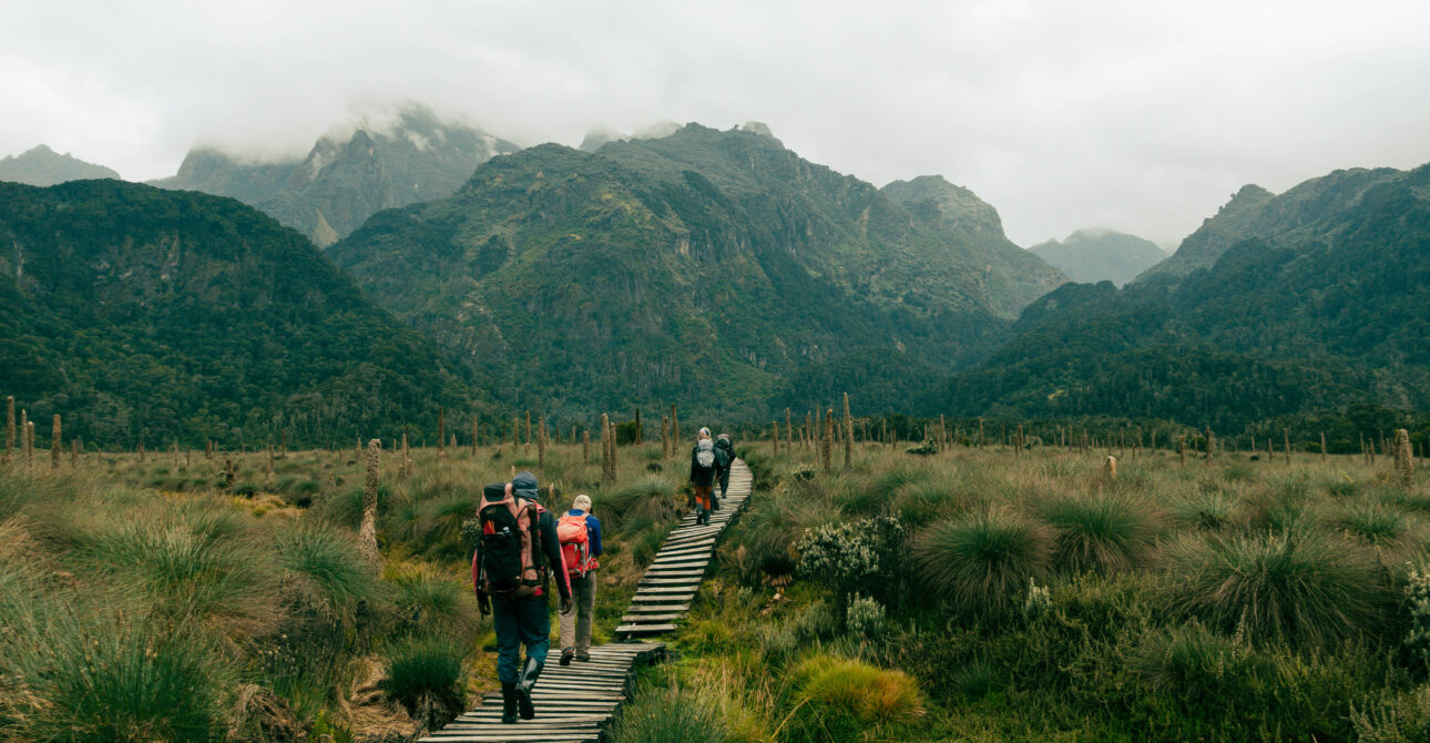 Van jungle tot tropische gletsjers