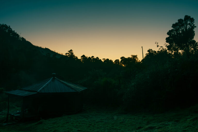 Margherita Peak - Rwenzori - Mountain Beat