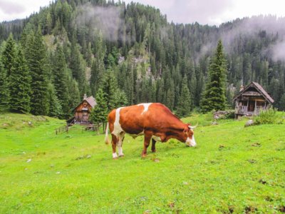 Mountain-Network-Triglav-beklimming-trekking-4-400x300