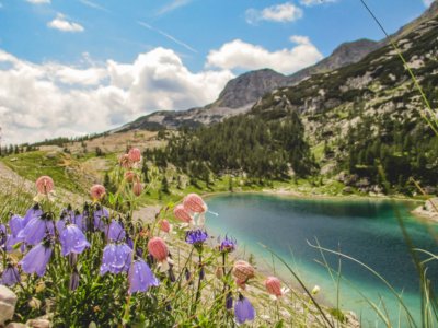 Mountain-Network-Triglav-beklimming-trekking-8-400x300