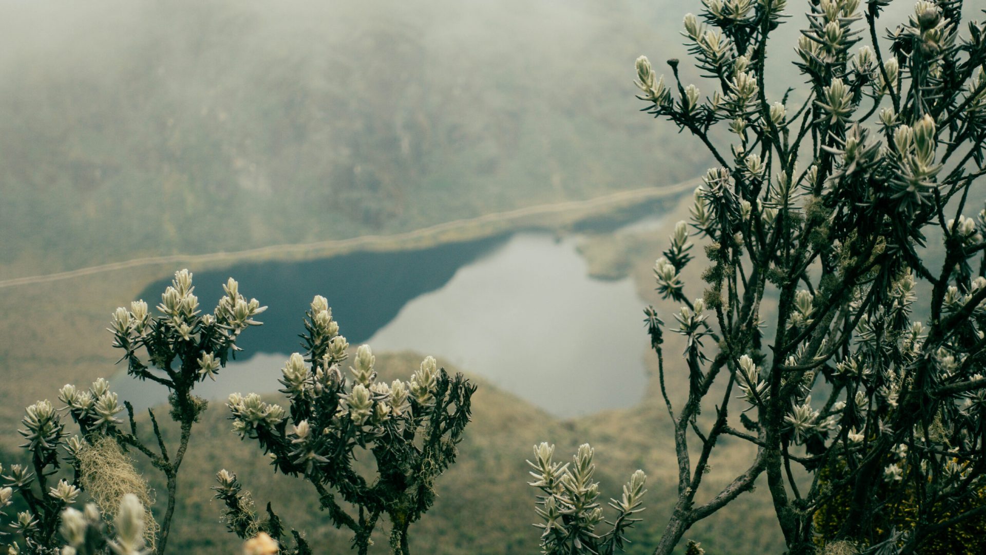 Margherita Peak - Rwenzori - Mountain Beat