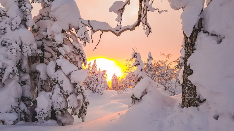 Mountain Network - JAPOW!_6