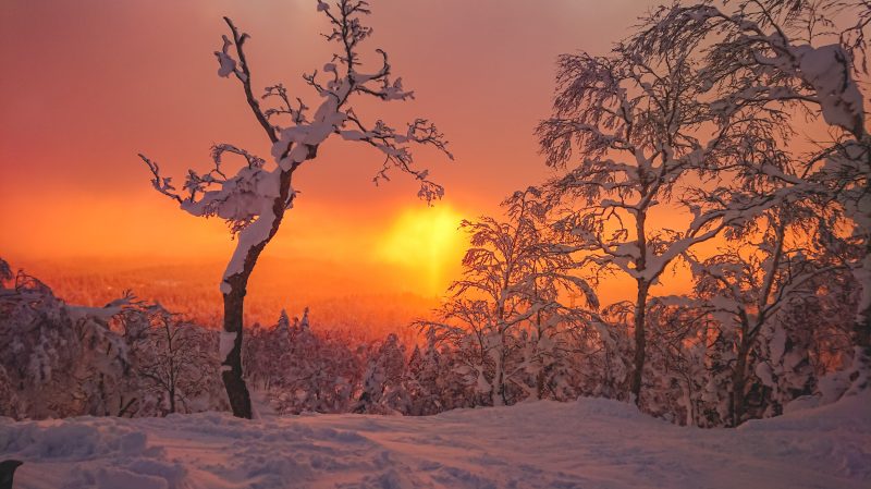 Mountain Network - JAPOW!_8