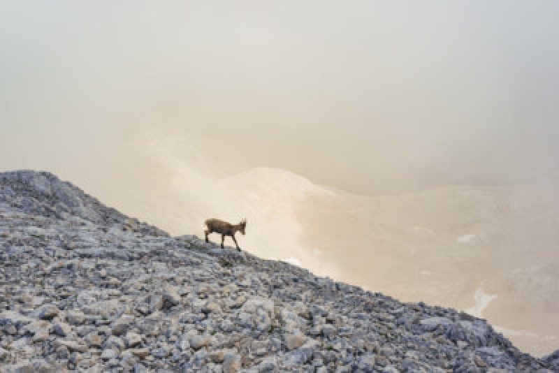 Mountain-Network-Triglav-beklimming-trekking-23-400x267 (1)